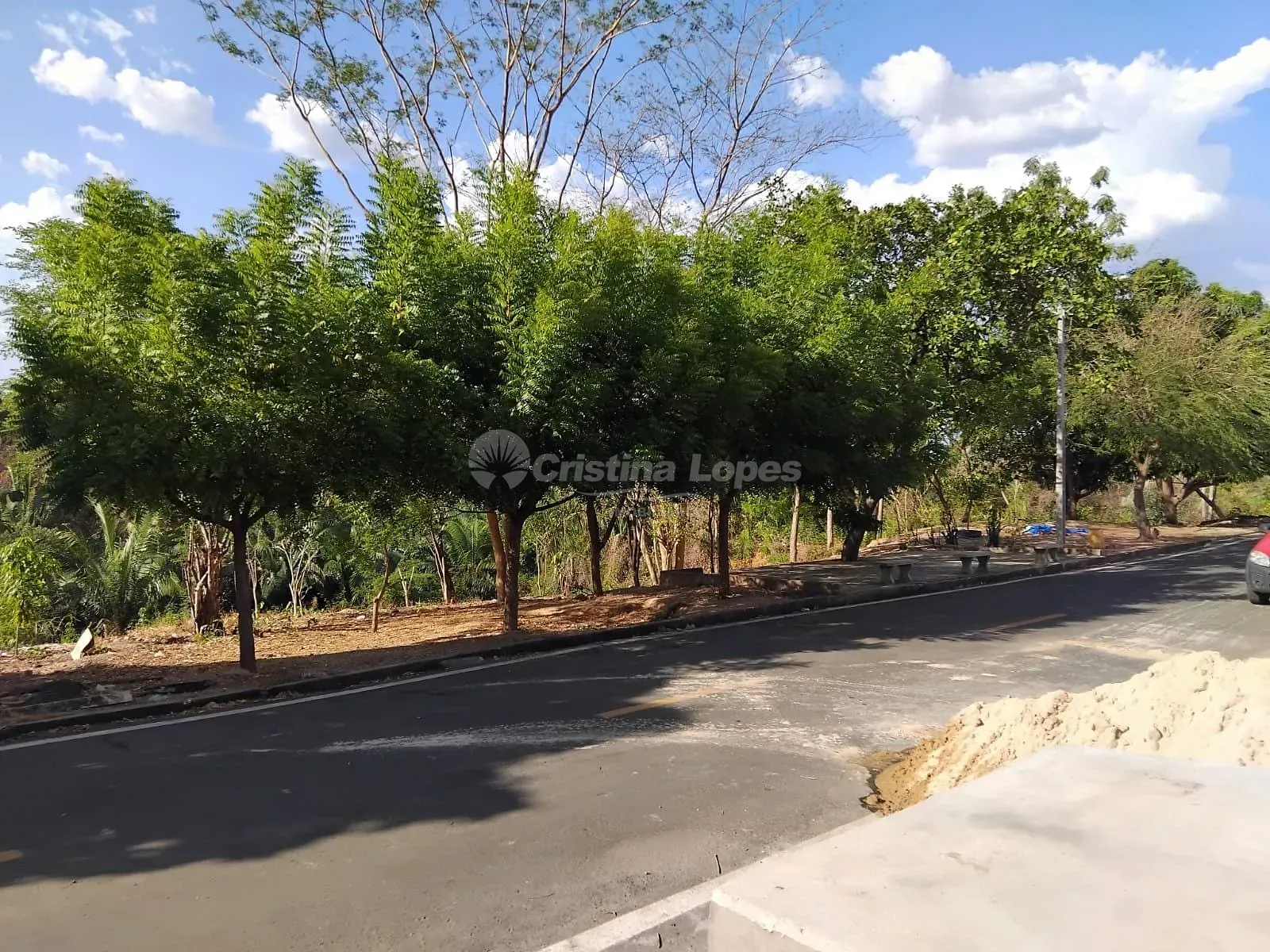 Terreno, 300 m² - Foto 4