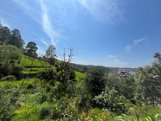 Terreno com 6200m², à venda, no bairro Panorama (Polvilho) em Cajamar