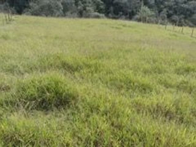 Foto do Terreno - Terreno à venda, 2500 m² por R$ 115.000,00 - Jardim Santana - Jacareí/SP | INDEPENDENCE NEGOCIOS IMOBILIARIOS LTDA