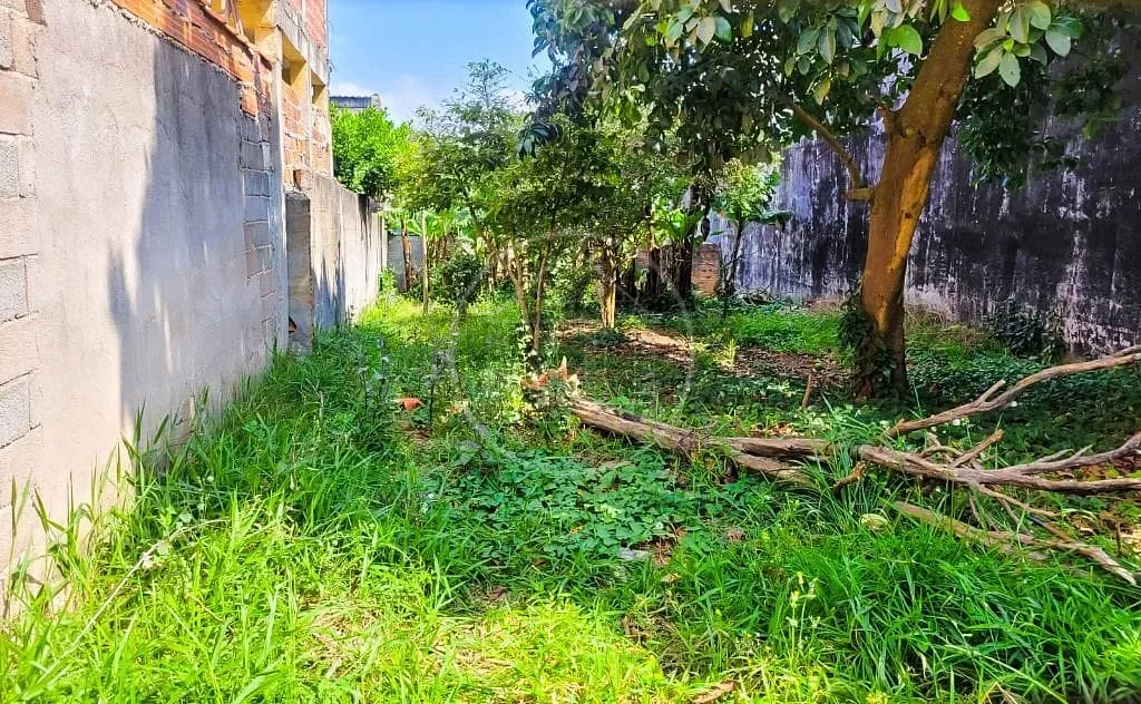 Terreno, 250 m² - Foto 2