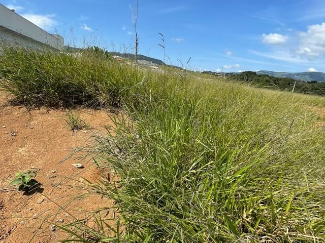 Terreno com 300m², à venda, no bairro Recanto Do Sol em Extrema
