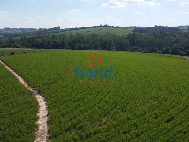 Terreno com 80000m², à venda, no bairro Bom Retiro em Porto Feliz