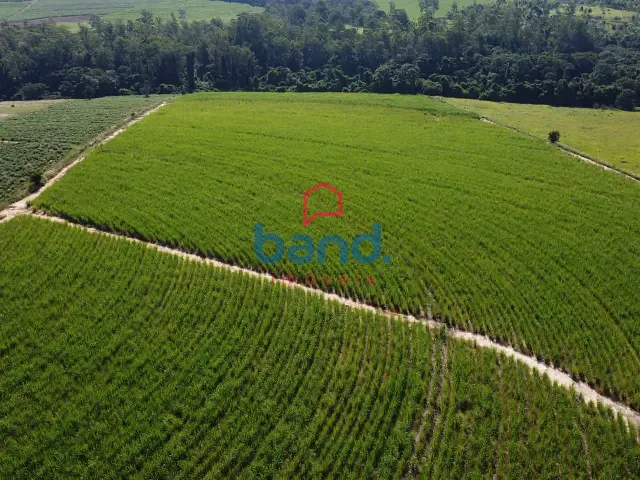 Terreno com 80000m², à venda, no bairro Bom Retiro em Porto Feliz