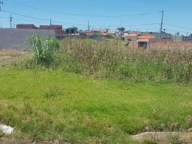 Terreno com 439m², à venda, no bairro Residencial Araucária em Cambé