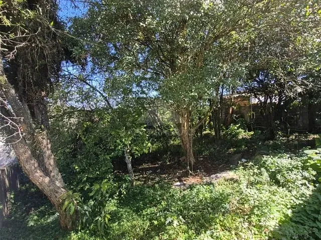 Terreno com 607m², à venda, no bairro Centro Alto em Ribeirão Pires
