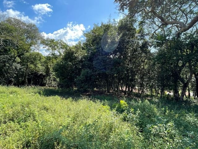 Terreno com 2700m², à venda, no bairro Roseira em Extrema