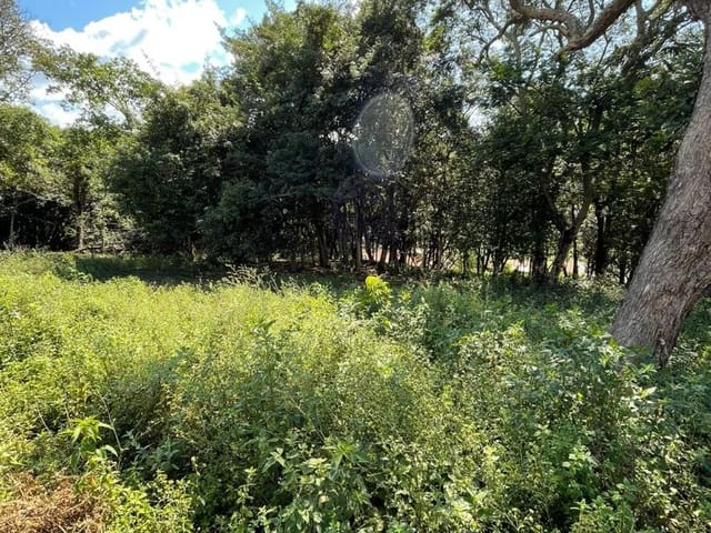 Terreno com 2700m², à venda, no bairro Roseira em Extrema