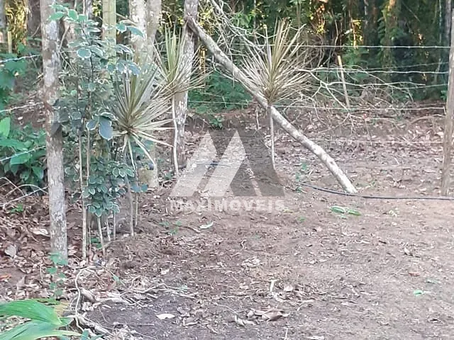 Terreno com 1620m², à venda, no bairro Arraial D'Ajuda em Porto Seguro