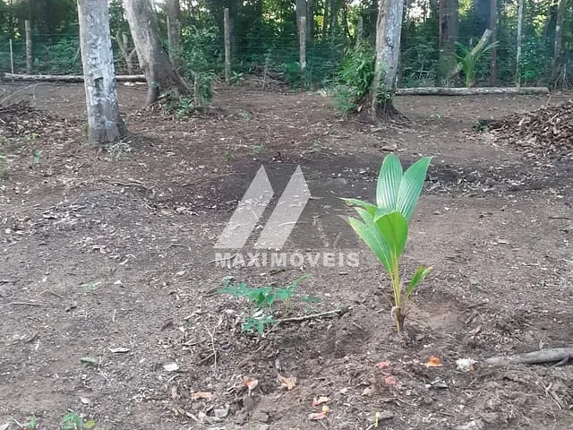 Terreno com 1620m², à venda, no bairro Arraial D'Ajuda em Porto Seguro