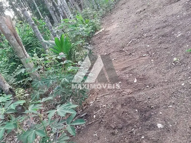 Terreno com 1620m², à venda, no bairro Arraial D'Ajuda em Porto Seguro