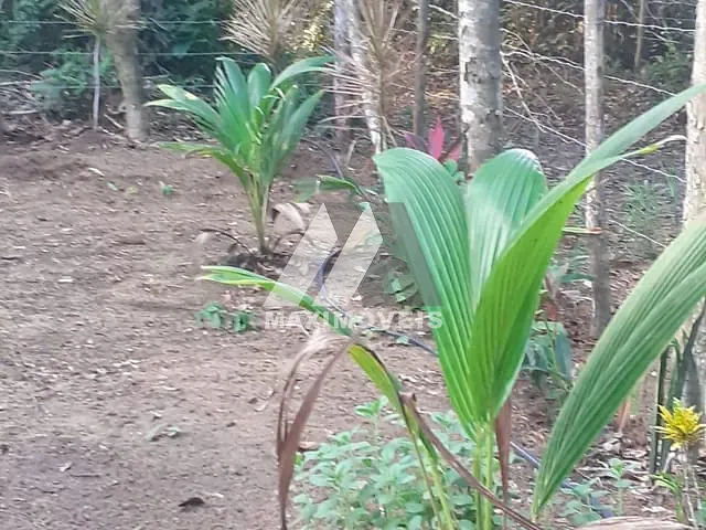 Terreno com 1620m², à venda, no bairro Arraial D'Ajuda em Porto Seguro