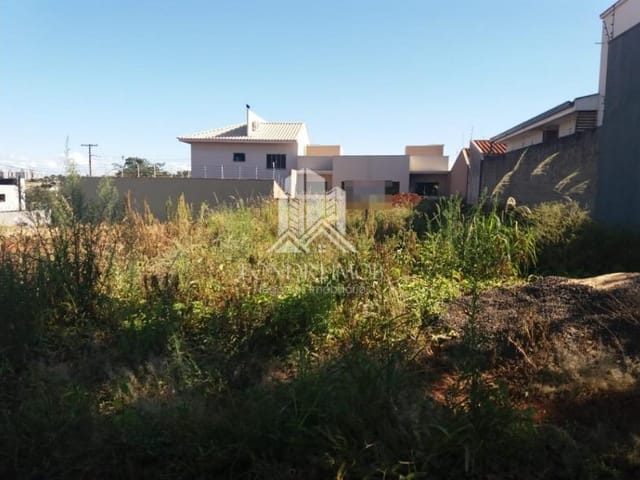 Terreno à venda, no bairro Pacaembu em Londrina