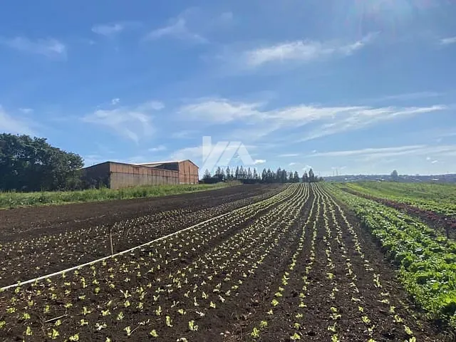 Terreno com 17700m², à venda, no bairro Boa Vista em Ponta Grossa
