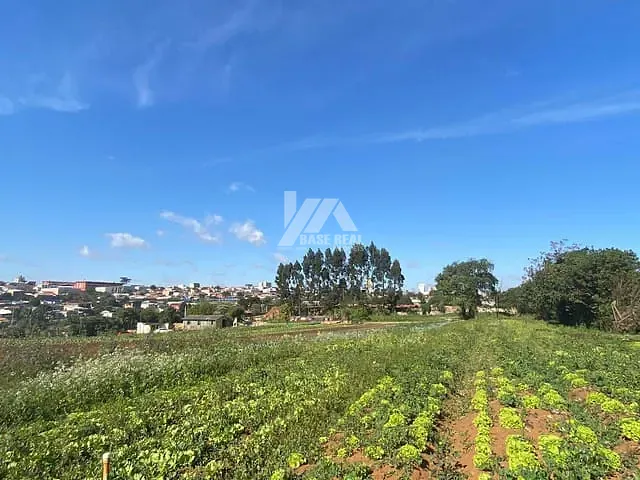 Terreno com 17700m², à venda, no bairro Boa Vista em Ponta Grossa