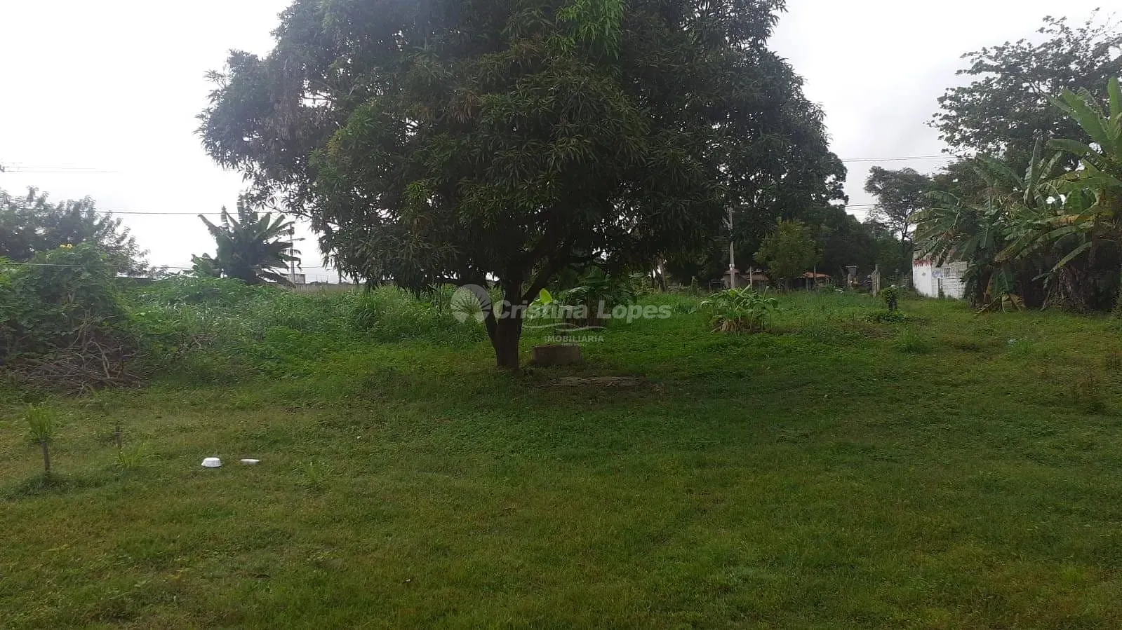 Terreno, 8 hectares - Foto 3