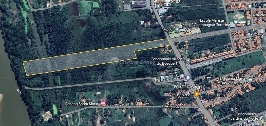 Terreno, 8 hectares - Foto 2