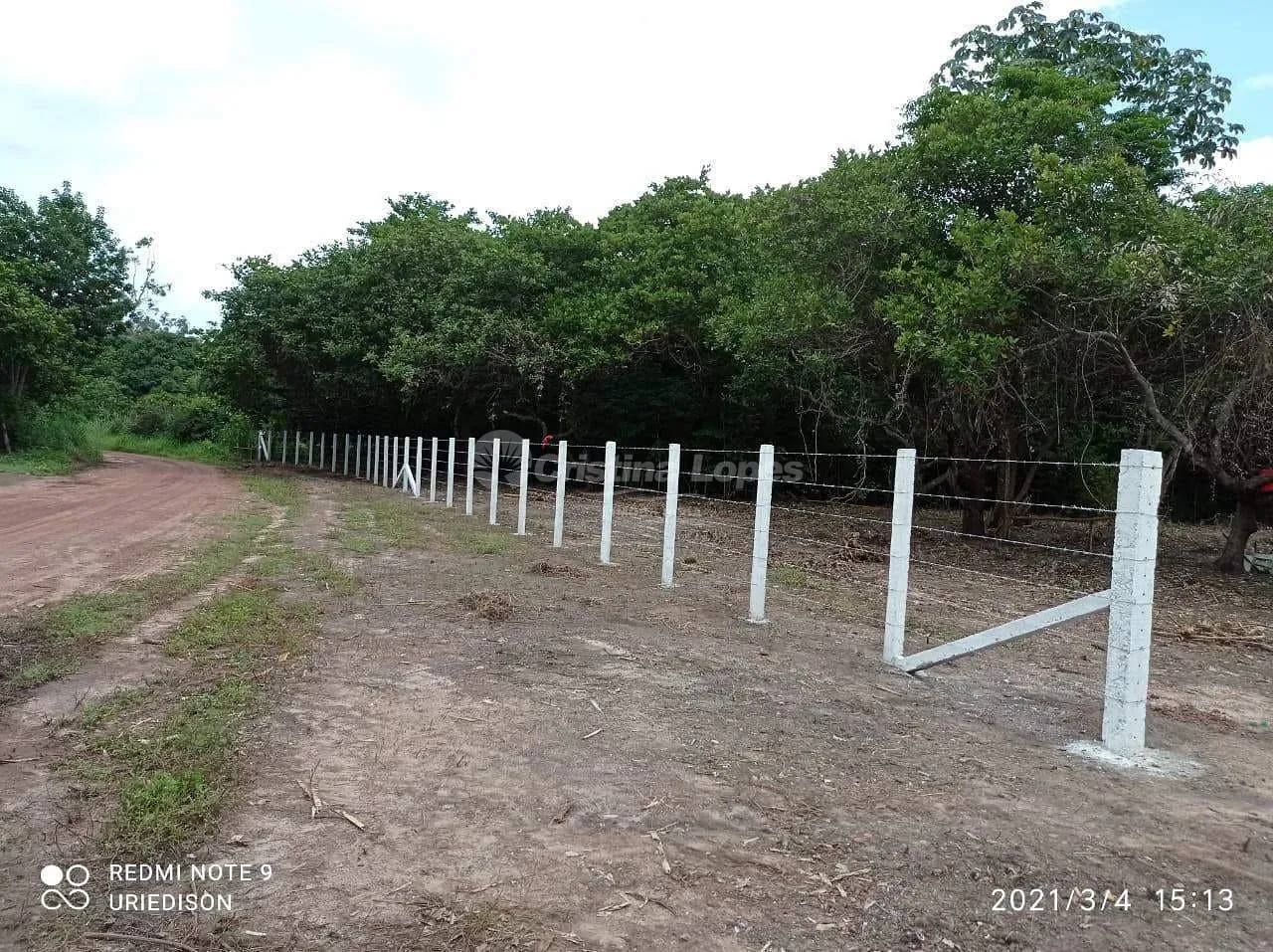 Terreno, 4 hectares - Foto 1
