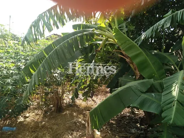 Terreno com 216m², à venda, no bairro João Aranha em Paulínia