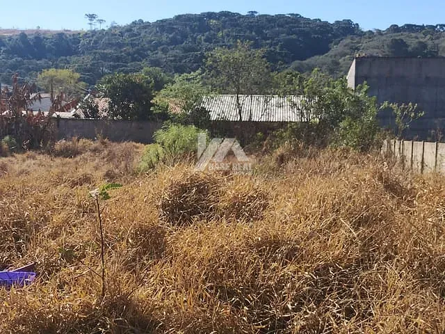 Terreno com 396m², à venda, no bairro Jardim Carvalho em Ponta Grossa