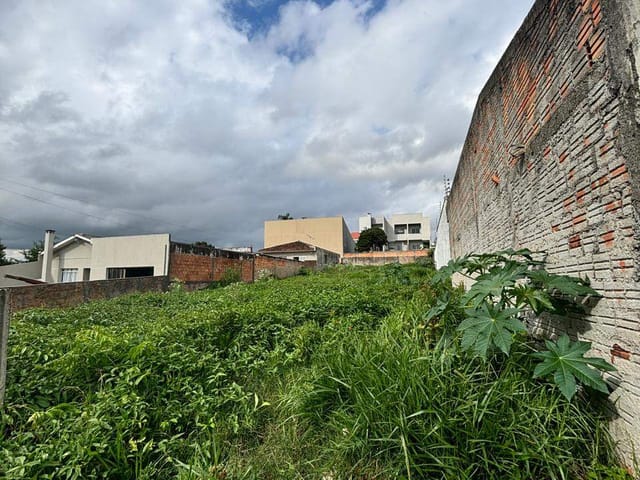 Terreno com 528m², à venda, no bairro Uvaranas em Ponta Grossa