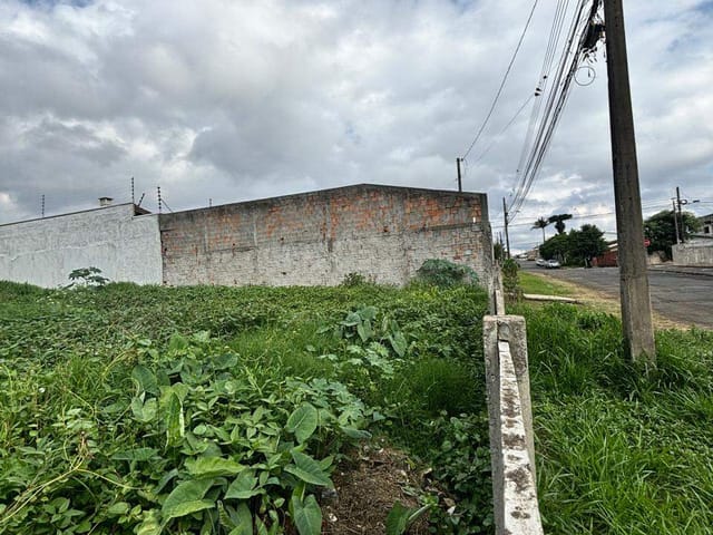 Terreno com 528m², à venda, no bairro Uvaranas em Ponta Grossa