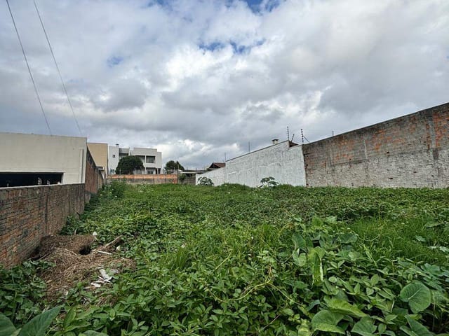 Terreno com 528m², à venda, no bairro Uvaranas em Ponta Grossa