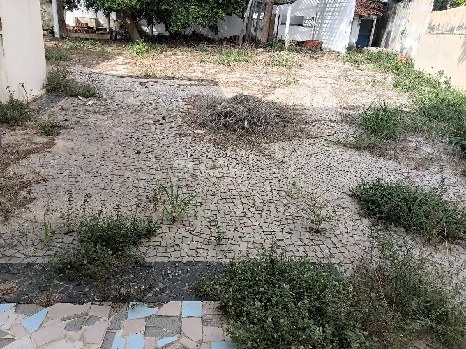 Terreno, 2256 m² - Foto 4