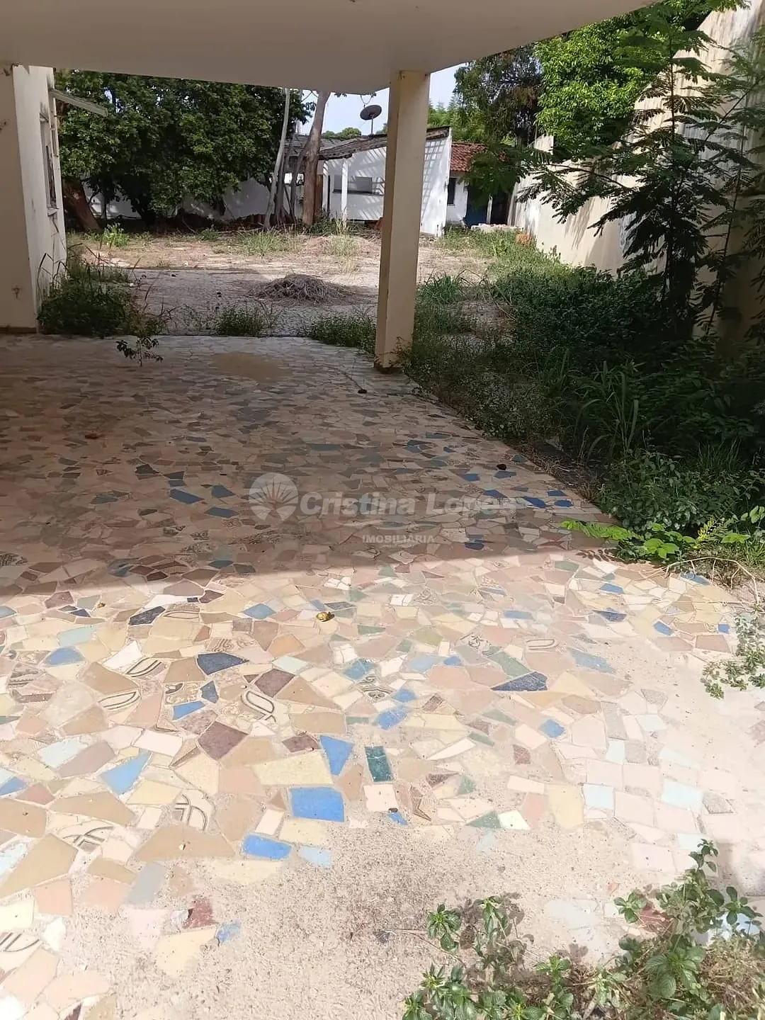 Terreno, 2256 m² - Foto 3