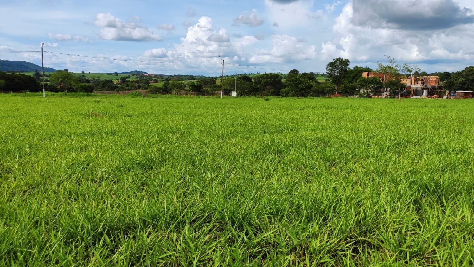 Terreno, 4930 m² - Foto 5