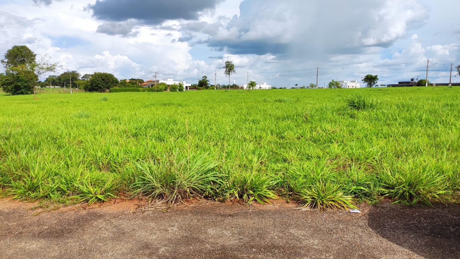 Terreno, 4930 m² - Foto 4