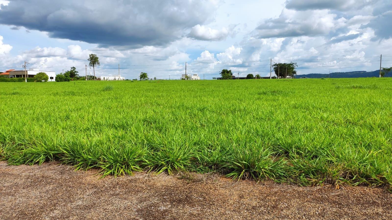 Terreno, 4930 m² - Foto 3