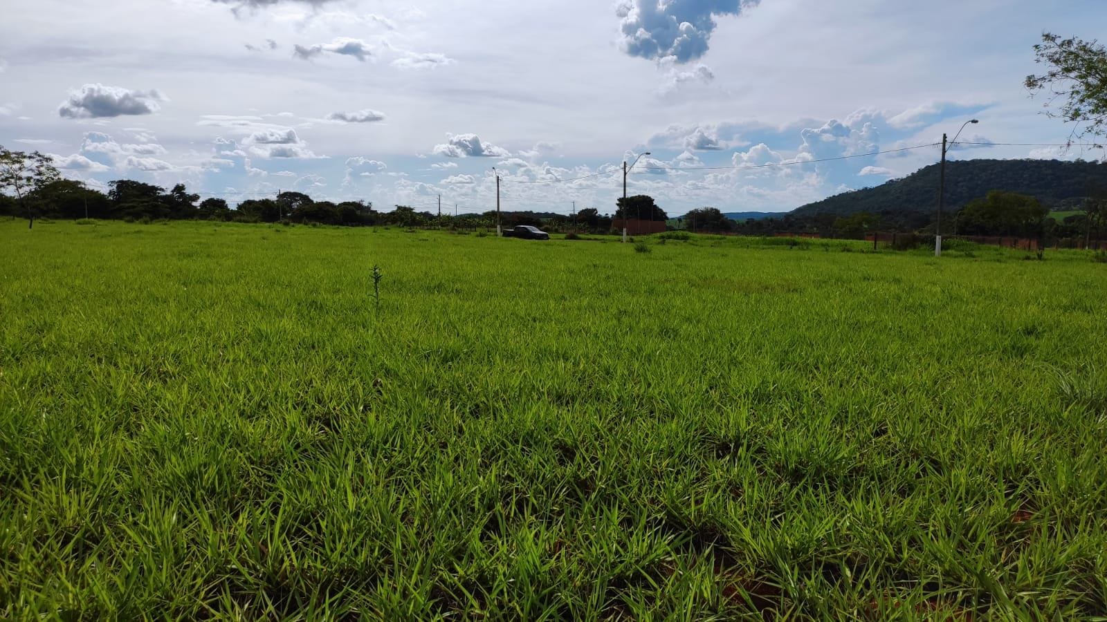 Terreno, 4930 m² - Foto 2