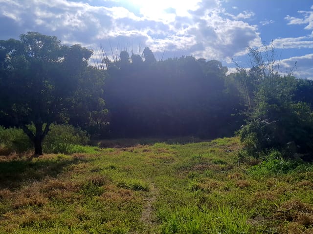 Terreno com 8500m², à venda, no bairro Jardim Mourisco em Taubaté