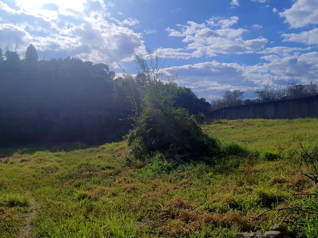 Terreno com 8500m², à venda, no bairro Jardim Mourisco em Taubaté