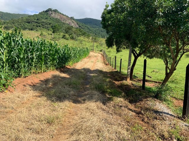 Terreno com 925m², à venda, no bairro Pires em Extrema