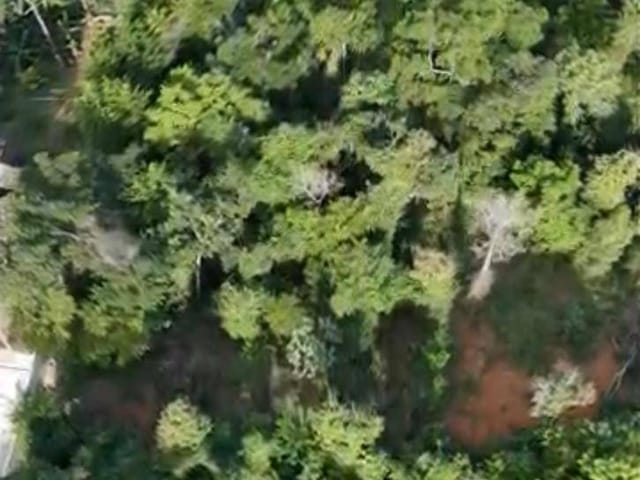 Terreno com 15000m², à venda, no bairro Granja dos Cavaleiros em Macaé