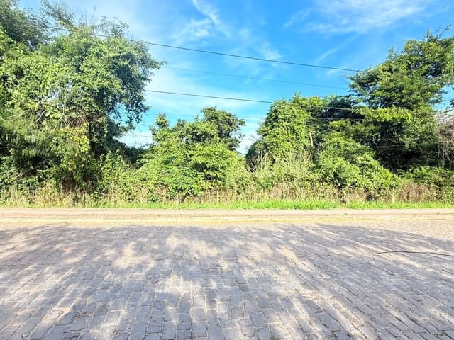 Terreno com 15000m², à venda, no bairro Granja dos Cavaleiros em Macaé