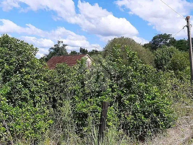 Terreno com 105000m², à venda, no bairro Zona Rural em Teutônia