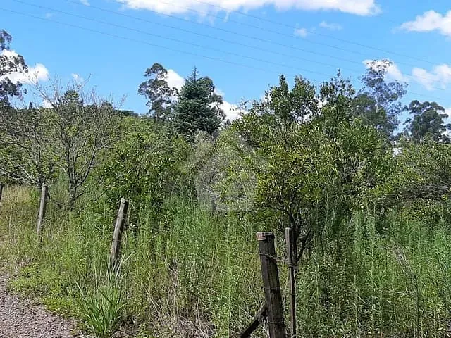 Terreno com 105000m², à venda, no bairro Zona Rural em Teutônia
