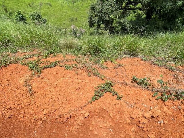 Terreno com 200m², à venda, no bairro Loteamento Sierra em Extrema