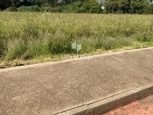 Terreno com 12231m², à venda, no bairro dom Pedro II em Arroio do Meio