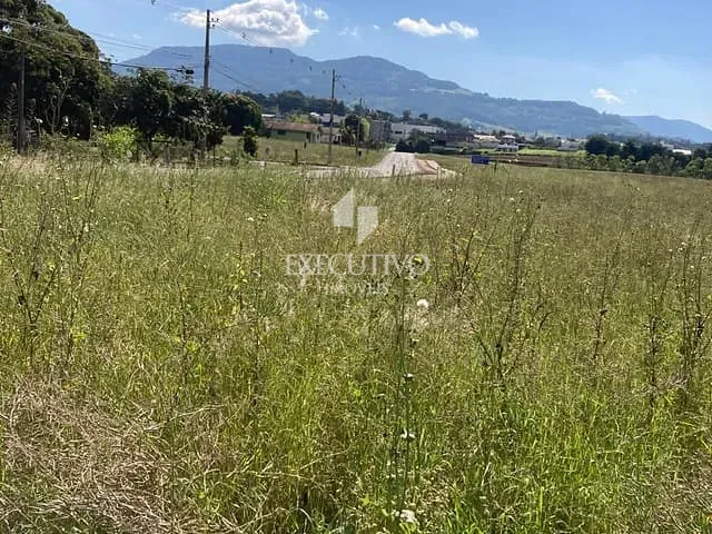 Terreno com 12231m², à venda, no bairro dom Pedro II em Arroio do Meio