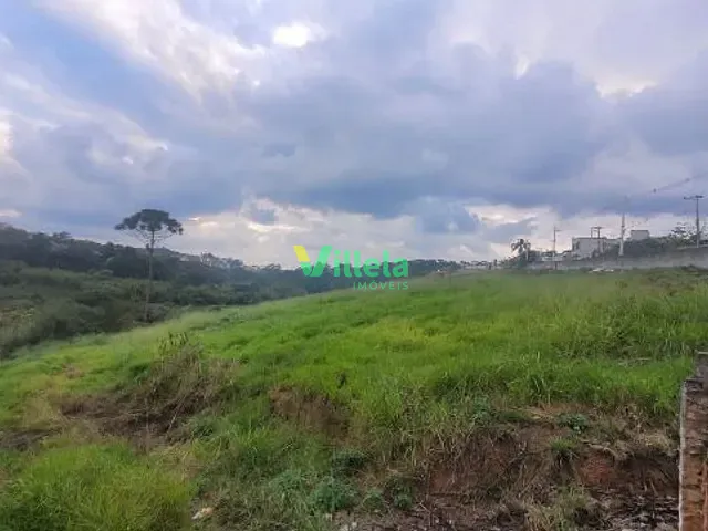 Terreno com 38973m², à venda, no bairro Jardim Pinheirinho em Itaquaquecetuba