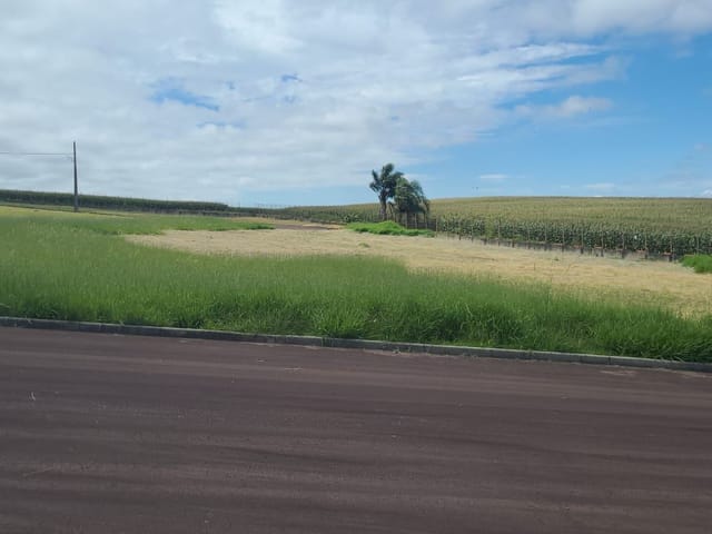 Terreno com 503m², à venda, no bairro Núcleo Colonial em Carambeí