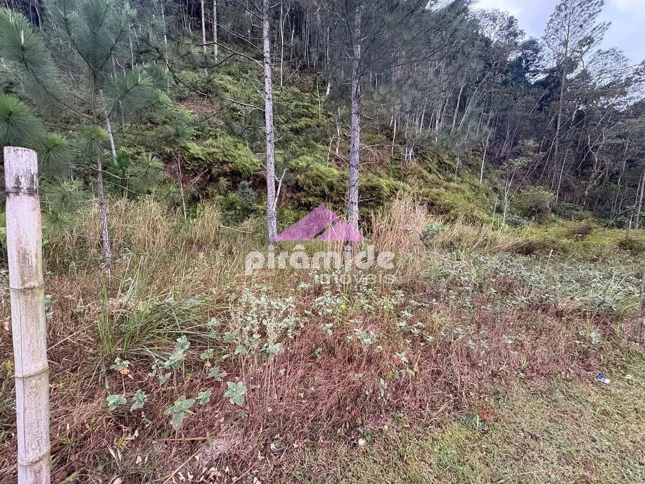 Terreno, 280 m² - Foto 6