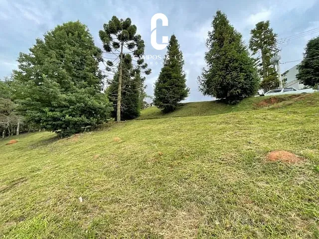 Terreno com 1112m², à venda, no bairro Alto Do Capivari em Campos Do Jordão