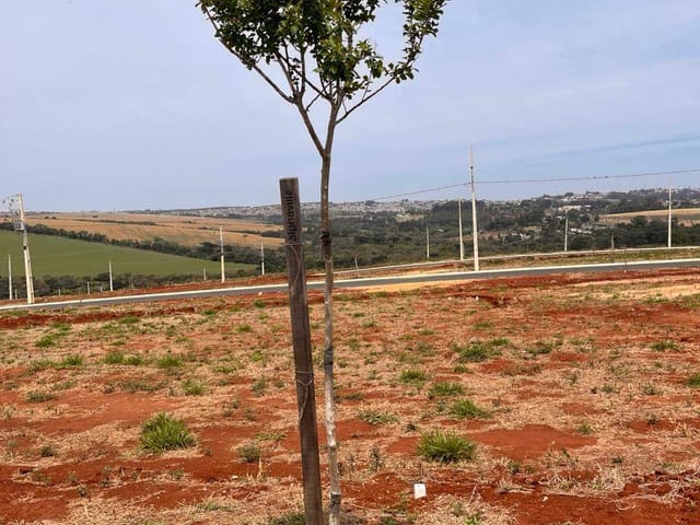 Terreno com 220m², à venda, no bairro Jardim Carvalho em Ponta Grossa