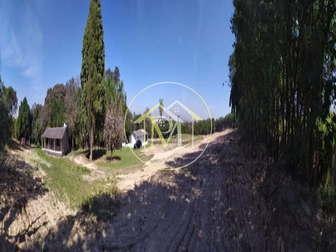 Terreno, 10 hectares - Foto 15