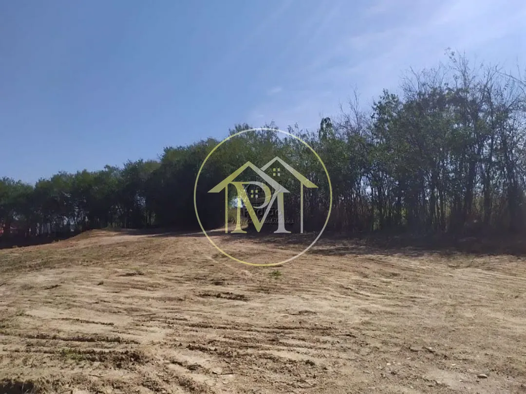 Terreno, 10 hectares - Foto 8