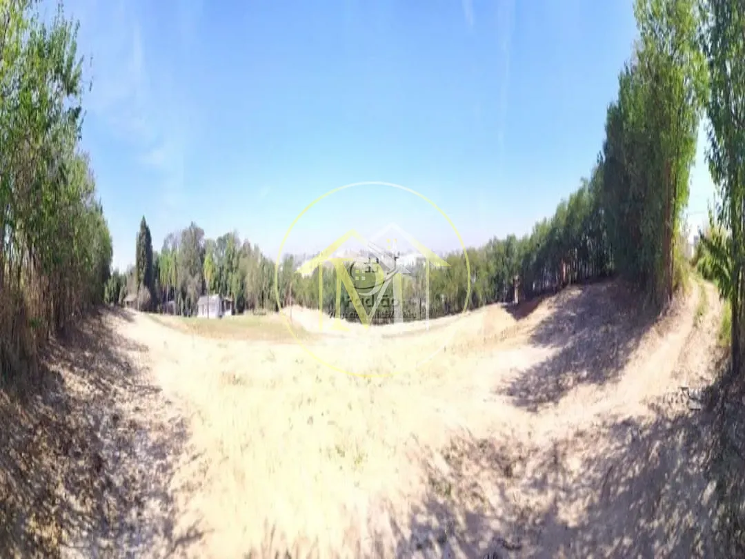 Terreno, 10 hectares - Foto 11